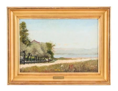 Paysage lacustre