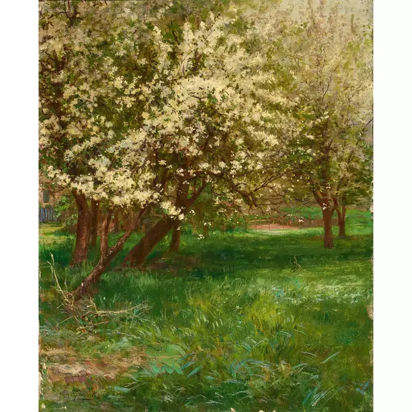 Blühende Obstbäume