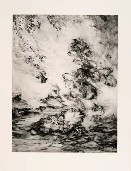 Julia Steiner — Kraut (surround), 2010