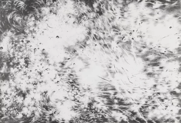 Julia Steiner — Circulation (pm), 2012