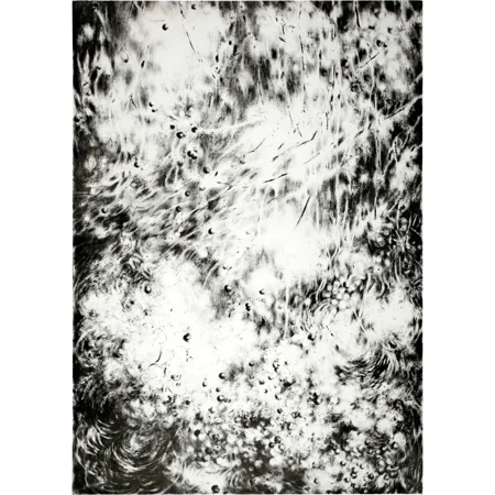 Julia Steiner — Circulation (pm) — Galerie Kornfeld