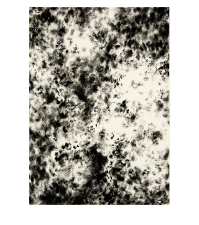 Julia Steiner — Ohne Titel — Galerie Kornfeld