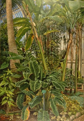 Jürg Kreienbühl — Die Bananenbäume, 1990