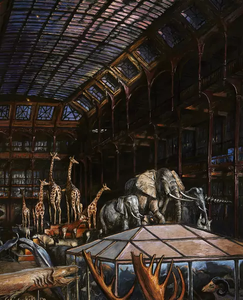La Galerie de Zoologie avec éléphants et girafes