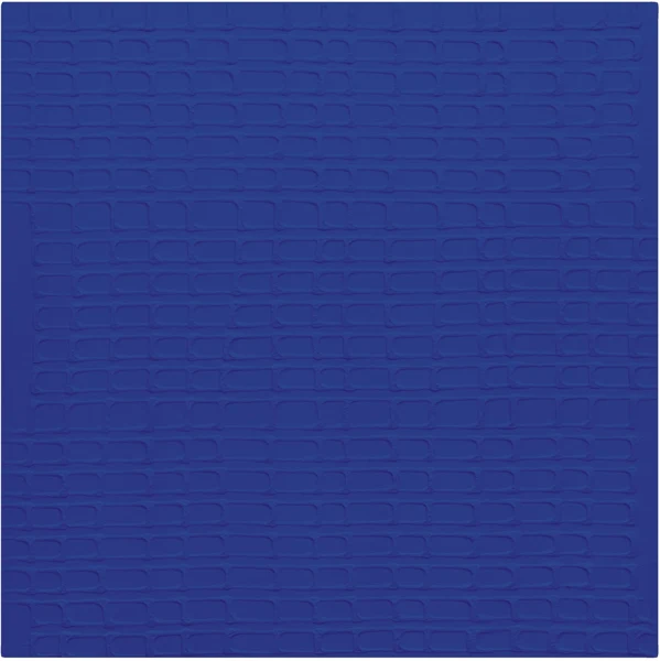 Karina Wisniewska — VIBES I, 2006