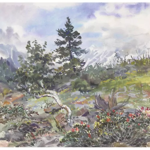 Landschaftspartie