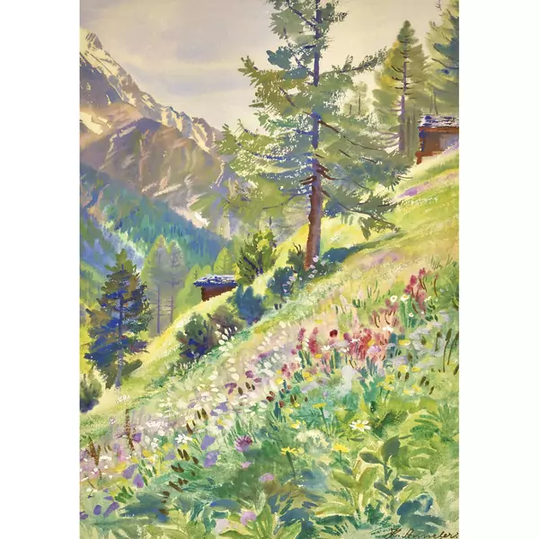Sommerliche Bergpartie