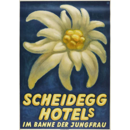 "Scheidegg Hotels"