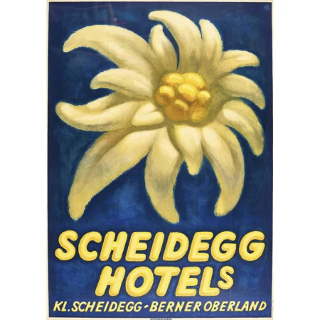 "Scheidegg Hotels"
