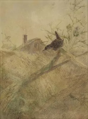 Karl Bodmer (1809-1893)