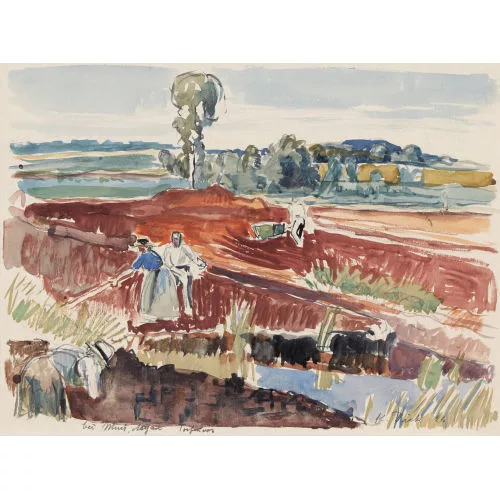 Karl Dick — "Torfmoos bei Muri (Aargau)".