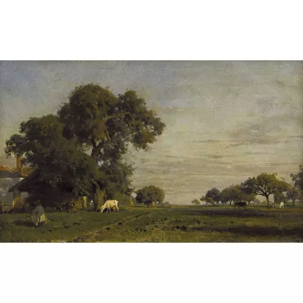 Baumlandschaft mit weidenden Kühen