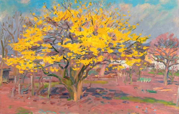 Karl Landolt — Baum in gelber Blust, 1970/74
