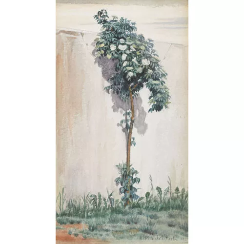 Karl Madritsch — Blühender Strauch an einer Mauer.