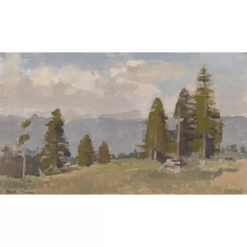 Waldlichtung im Gebirge