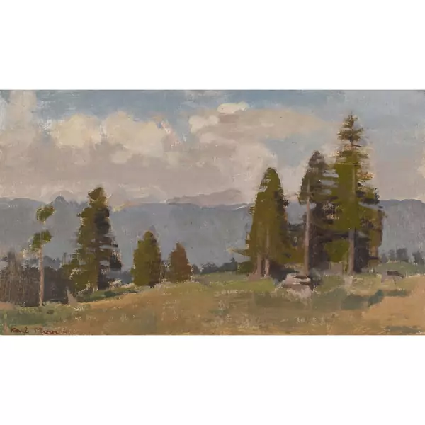 Waldlichtung im Gebirge