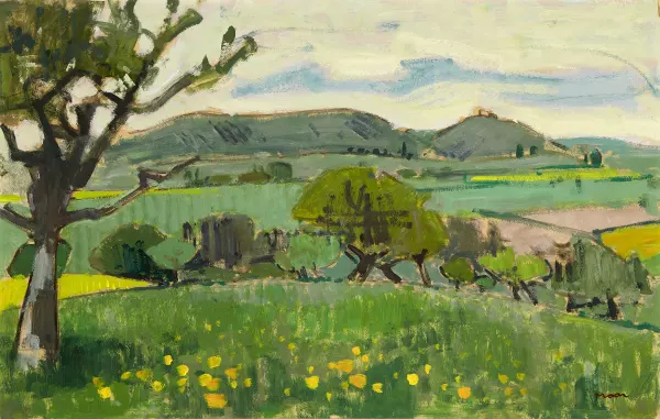 Baselbieter Sommerlandschaft