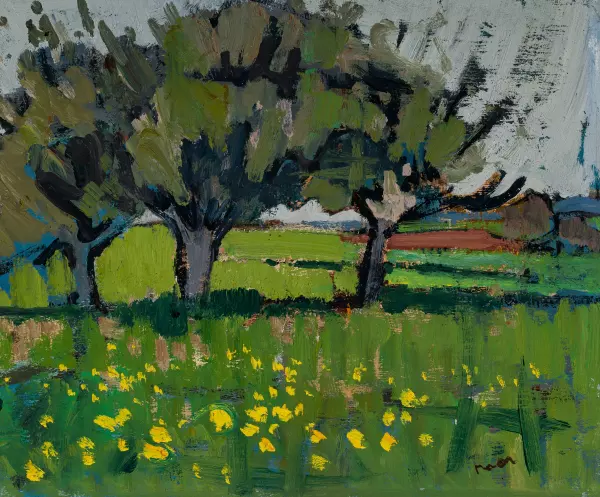 Felder im Frühling