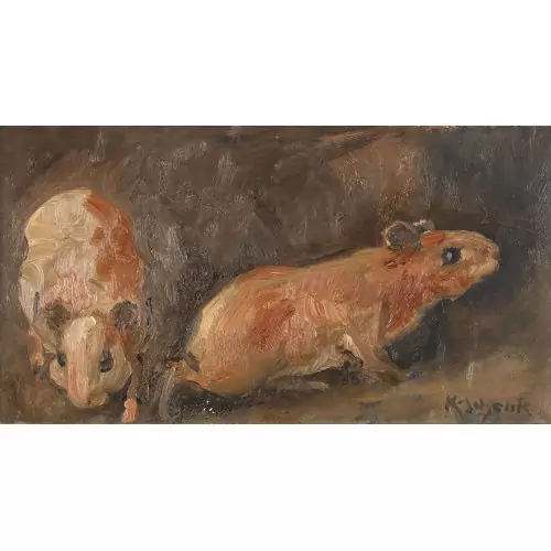 Meerschweinchenpaar