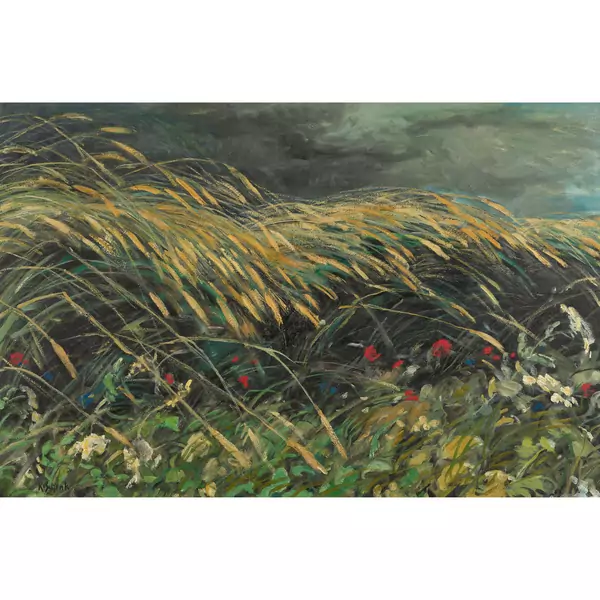 Wiese und Getreideähren