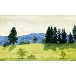 Sommerlandschaft