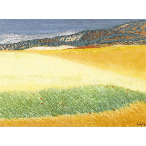 Kathy Thys — "Andalusische Felder".