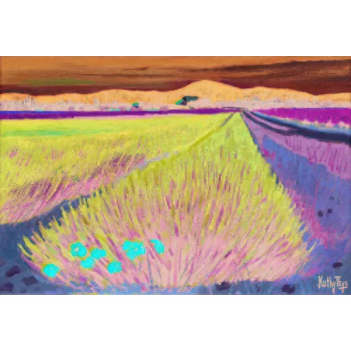 Kathy Thys — Blühendes Lavendelfeld.