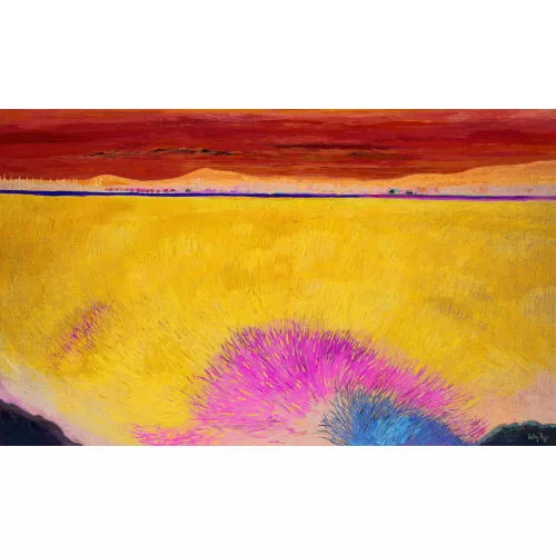 Kathy Thys — Lavendelfeld in Südfrankreich.