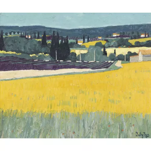 Blühende Felder in der Provence