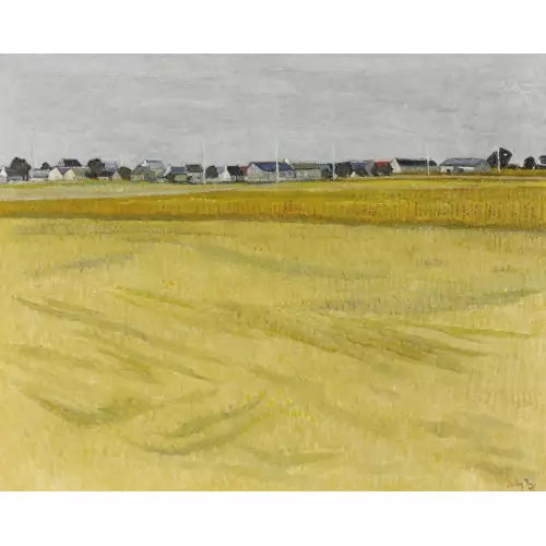 Weite Feldlandschaft