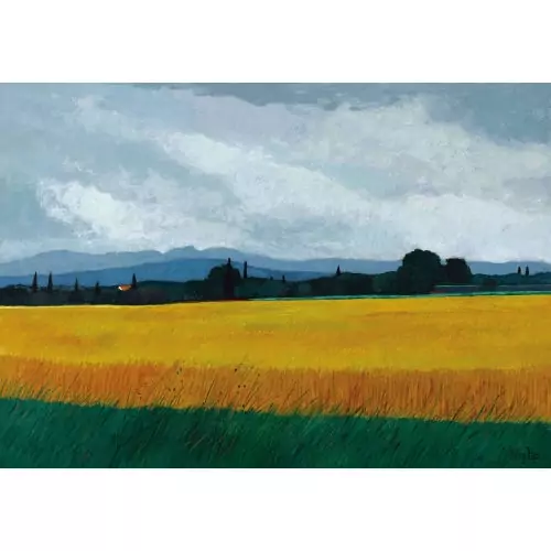 Weite Feldlandschaft
