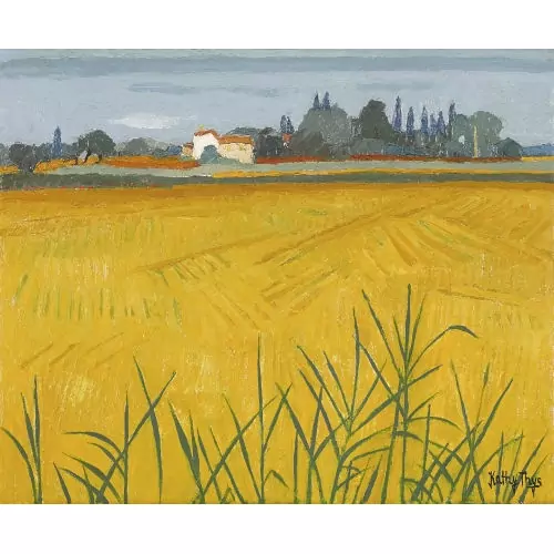 Feldlandschaft
