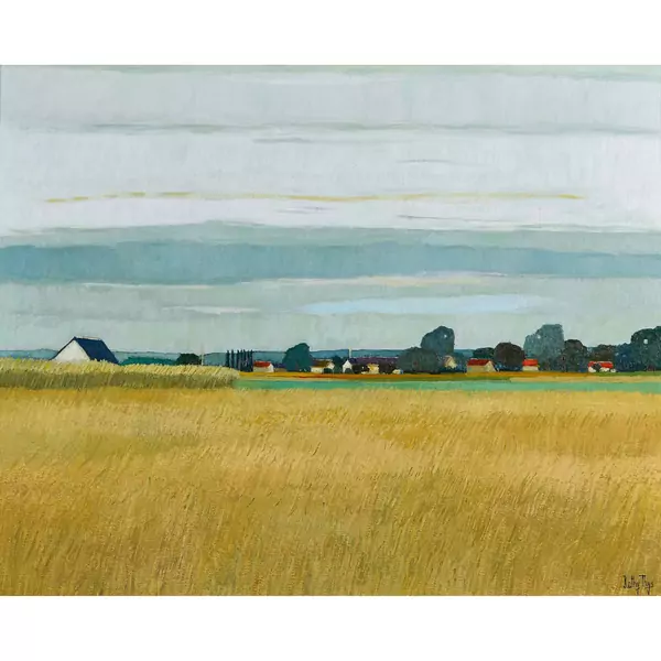 Sommerliche Feldlandschaft