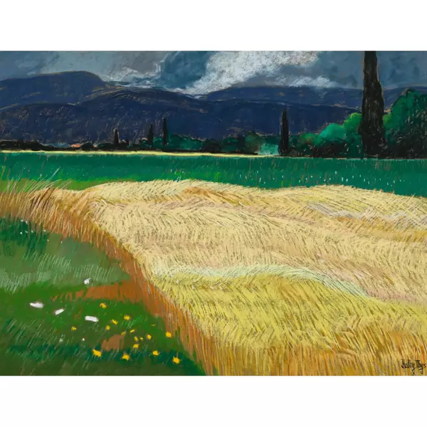 Sommerliche Feldlandschaft