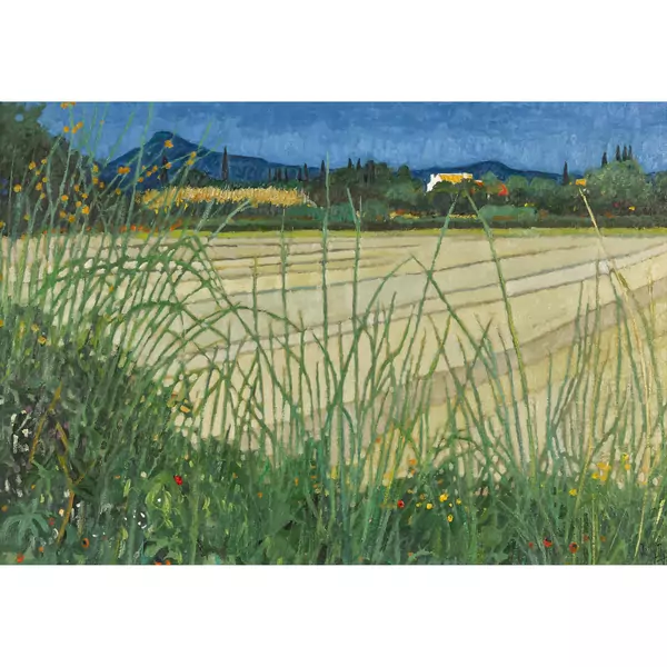 "Landschaft bei Tarascon"