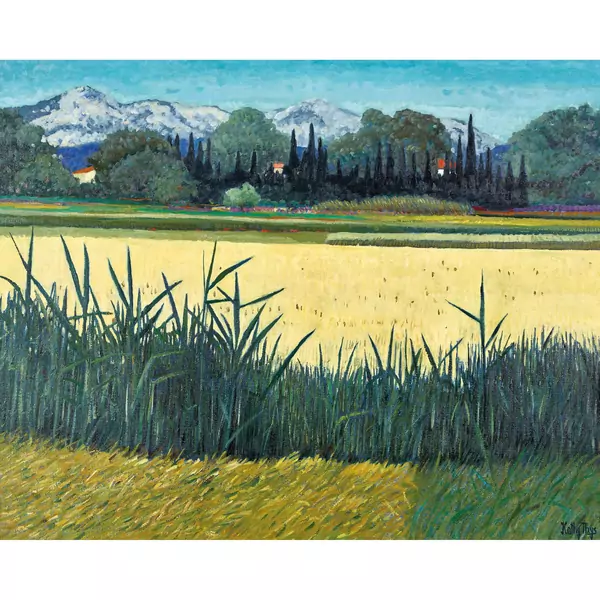 Paysage