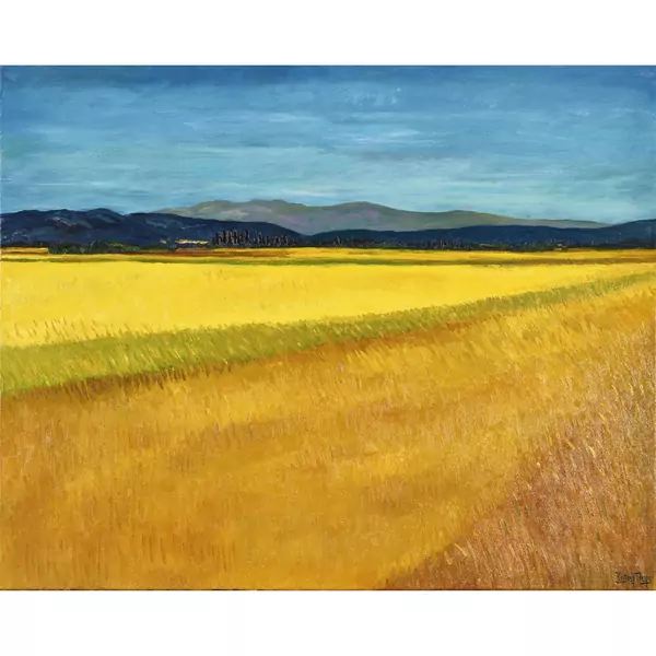 Weite Feldlandschaft