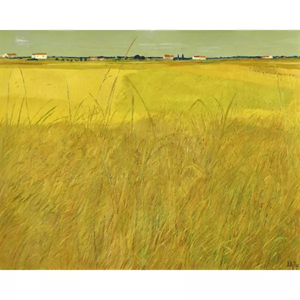 Weite Landschaft in Apulien