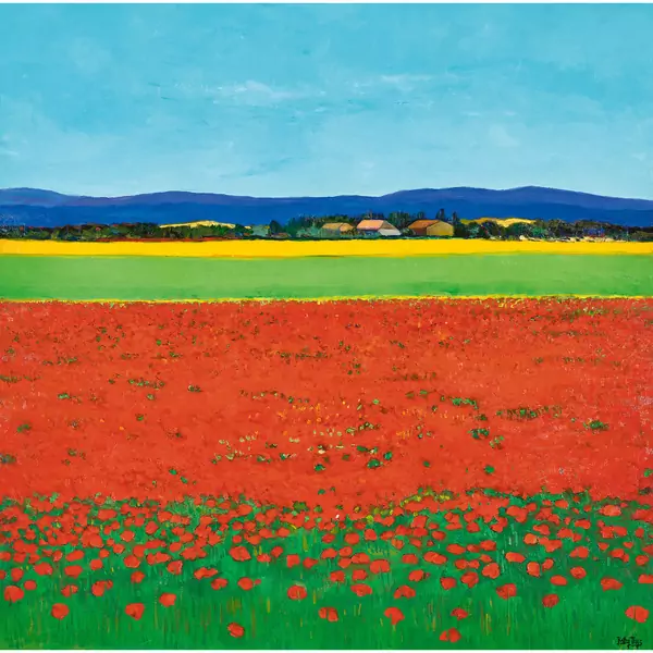 Coquelicots et mas de provence