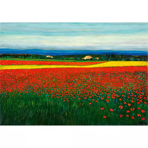 Mohnblumenfeld