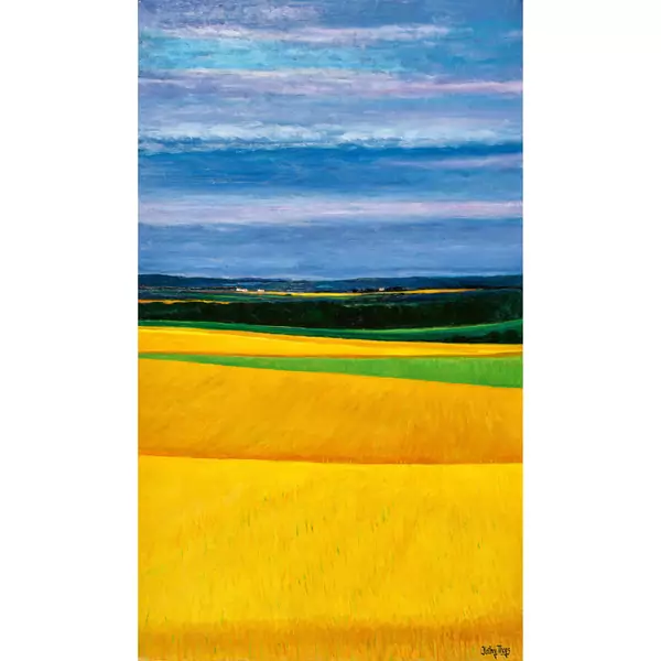 Feldlandschaft