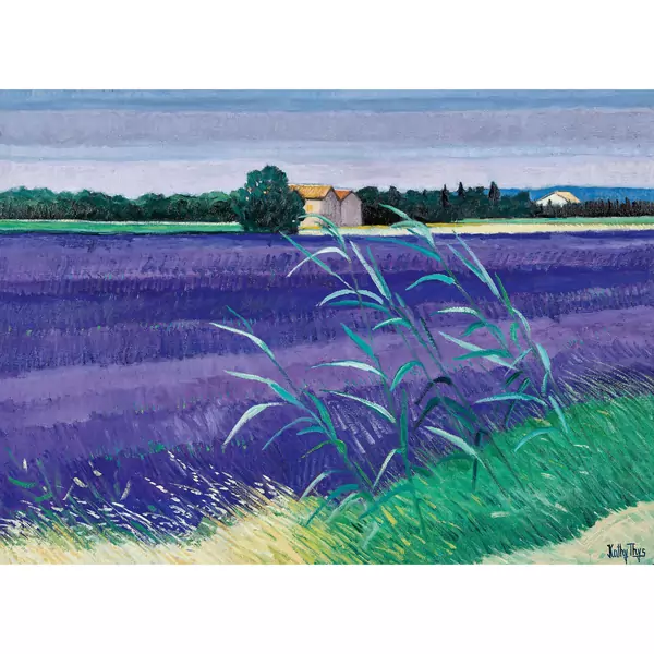 Blühendes Lavendelfeld