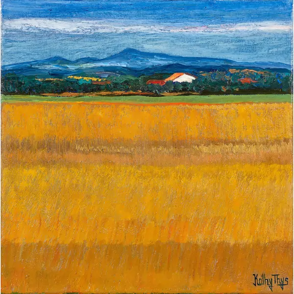 Feld in der Provence