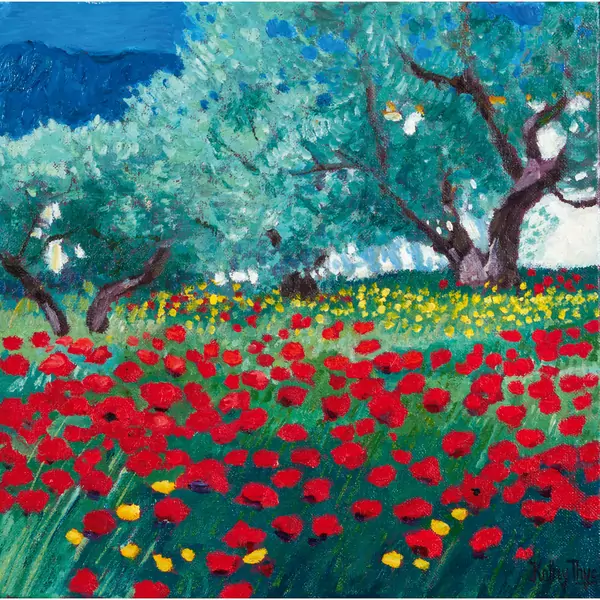Olivenhain mit Klatschmohn