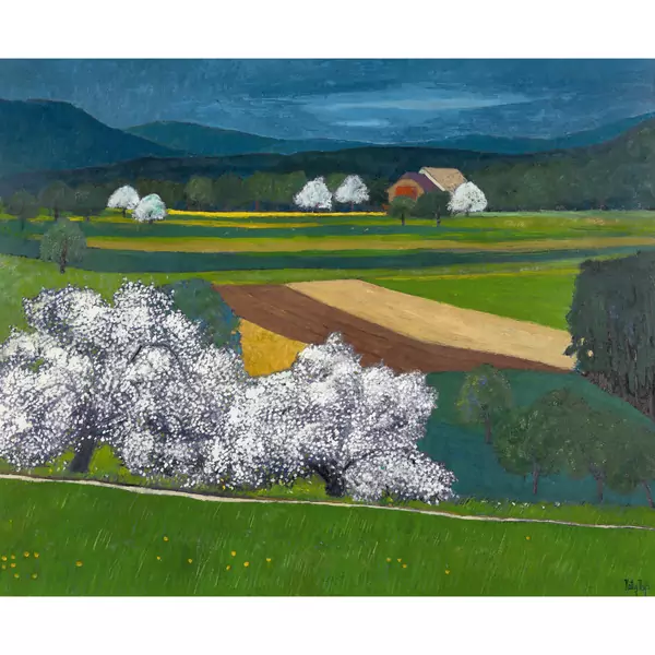 Landschaft mit blühenden Obstbäumen