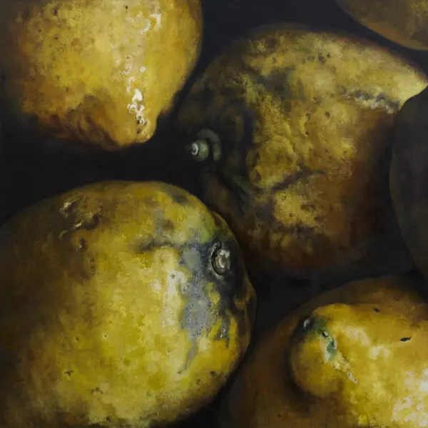 4 Citrons