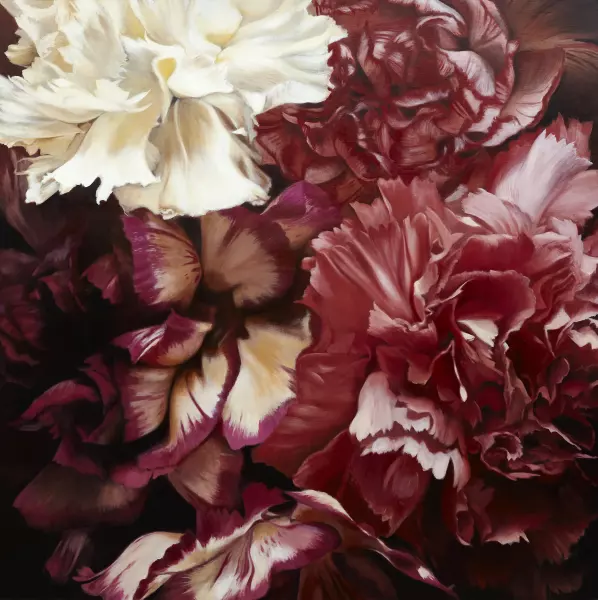 Oeillets Rouges et Blancs
