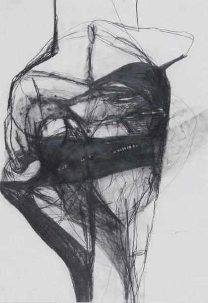 Klaudia Schifferle — Mädchen hält beinah ihr Gesicht zusammen, 1988