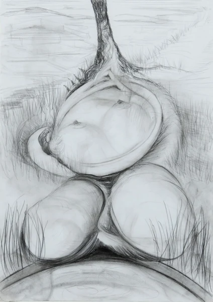 Klaudia Schifferle — Vom Liegen im Gras, 1993