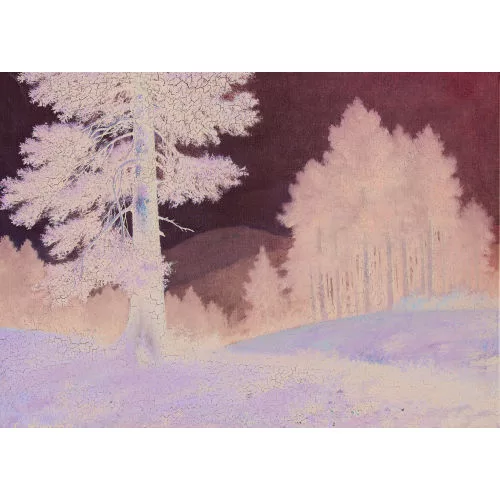 Konrad Hübscher — Lichte Waldpartie.